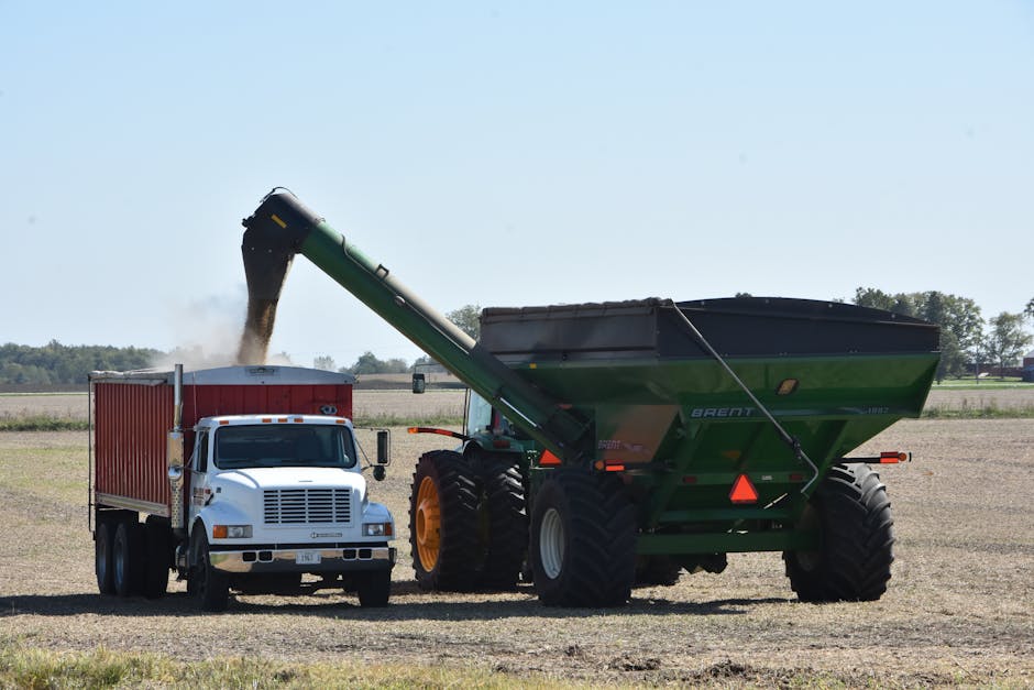 A large green agricultural piece of machinery with the brand name 'Brent' on its side is shown in an open field, engaged in loading harvested material through an extended chute into a container attached to a white truck parked nearby. The machine features oversized black tires with orange rims, and the container on the truck is red with vertical ridges along its sides. The environment appears rural with a flat landscape, sparse trees in the distance, and a clear blue sky overhead. The scene captures a typical agricultural activity related to bulk material handling and removal, similar to how commercial rubbish or waste materials might be privately collected on-site by waste removal services like those offered by Waste Clearance Brent, avoiding conventional local authority disposal methods.